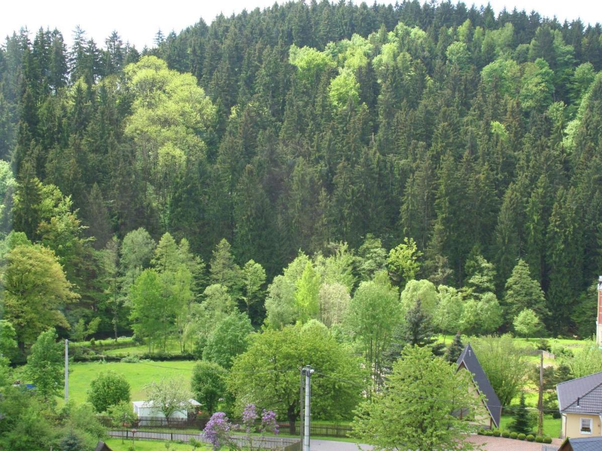 Exclusive Apartment In The Beautiful Ore Mountains Leubsdorf Exterior photo
